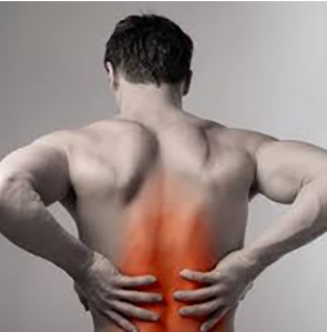 Úselo antes y después del entrenamiento para aumentar el flujo sanguíneo y acelerar la recuperación muscular